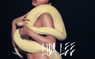 Lida Lee — Зима в пустелі